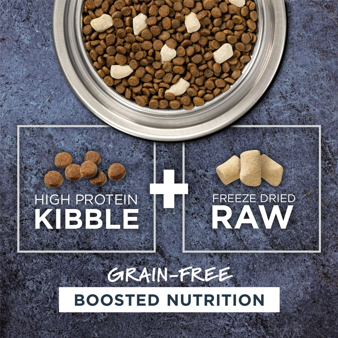 Instinct Raw Boost Real Chicken Grain-Free Dry Cat Food - Image 2