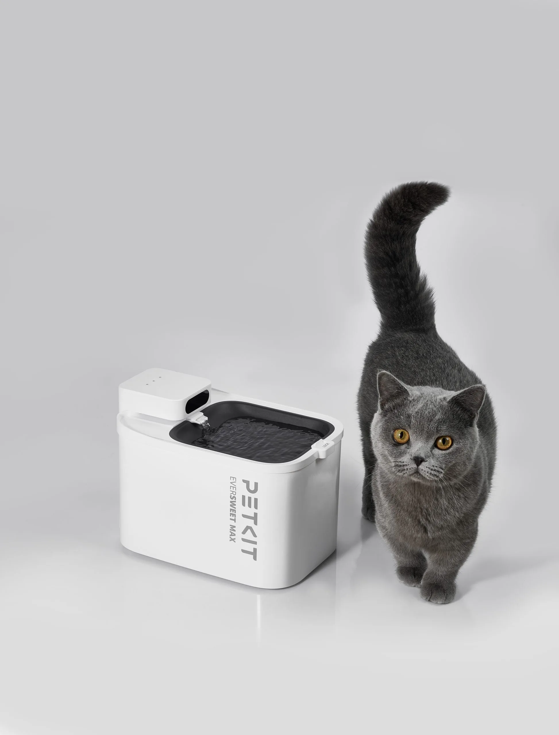 PetKit Chargeable Smart Water Fountain MAX - Image 2