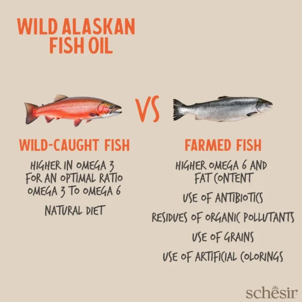 Schesir Wild Alaskan Fish Oil! Rich in Omega 3, 1000ml - Image 4