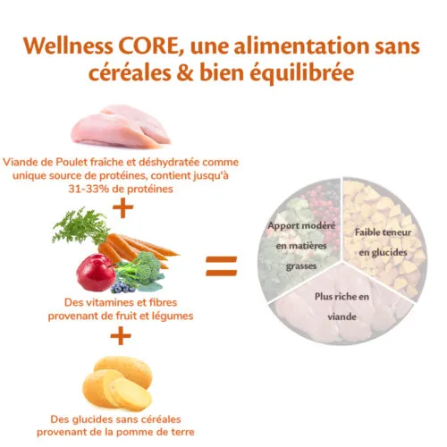 Wellness CORE Original Large Breed Chicken Recipe Dry Puppy Food, 2.75Kg - Image 2