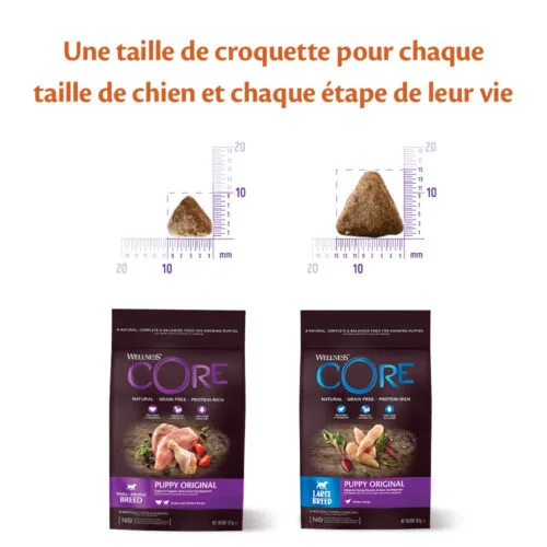 Wellness CORE Original Large Breed Chicken Recipe Dry Puppy Food, 2.75Kg - Image 3