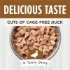 Instinct Healthy Cravings Real Duck Grain-Free Wet Cat Food, 85g - Image 2