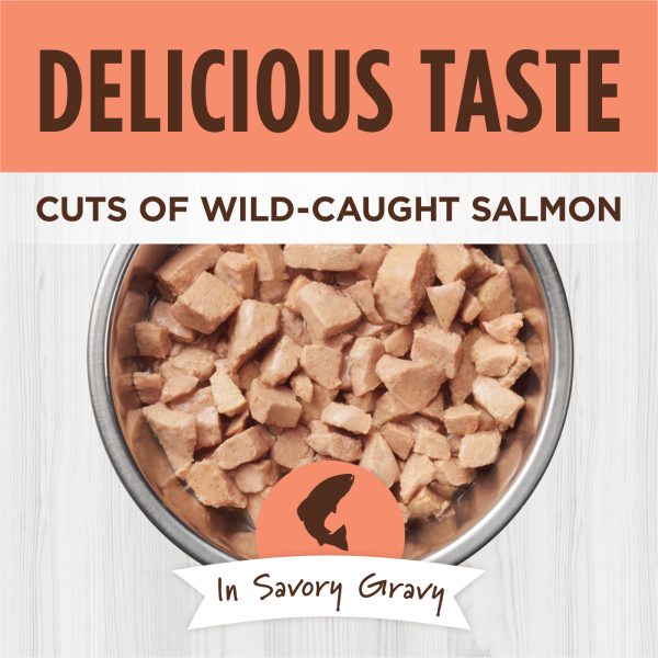Instinct Healthy Cravings Real Salmon Grain-Free Wet Cat Food, 85g - Image 2