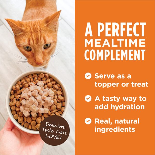 Instinct Healthy Cravings Real Salmon Grain-Free Wet Cat Food, 85g - Image 4