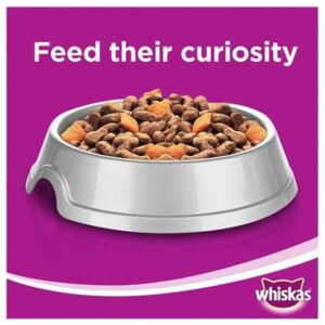Alternative view of Whiskas Chicken Flavour Dry Cat Food