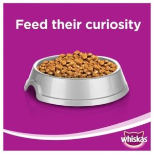 Alternative view of Whiskas طعام القطط الرطب بالدجاج في المرق، عبوة اقتصادية 80 جرام (عبوة من 12 قطعة)