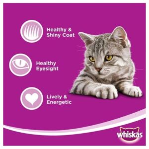 Alternative view of Whiskas Grilled Salmon Steak Flavour Dry Cat Food, 1.2kg