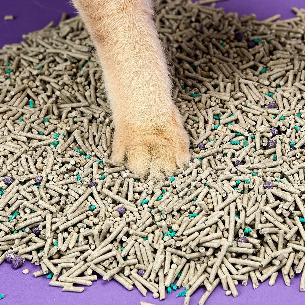 PetKit Fast Clumping Tofu Mixed Cat Litter, 7.9L - Image 6